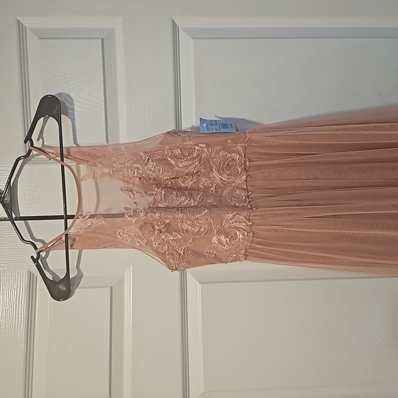 Celebrate Studios Pale Pink Dress (0) - Picture 2 of 11